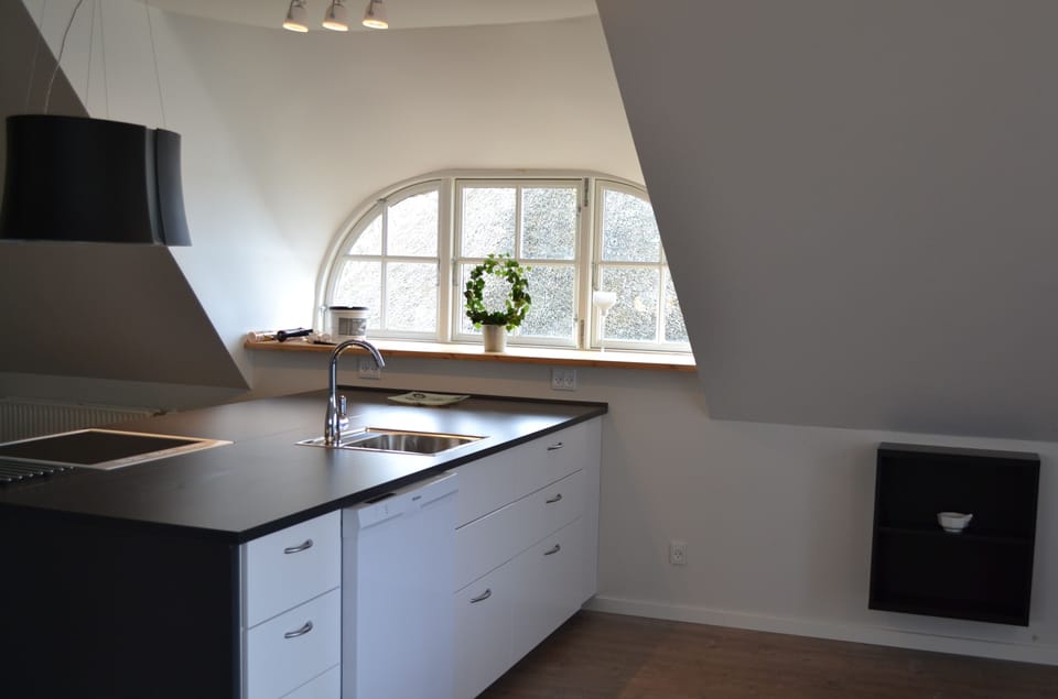 Deluxe Apartment | Private kitchen | Fridge, coffee/tea maker, electric kettle, toaster