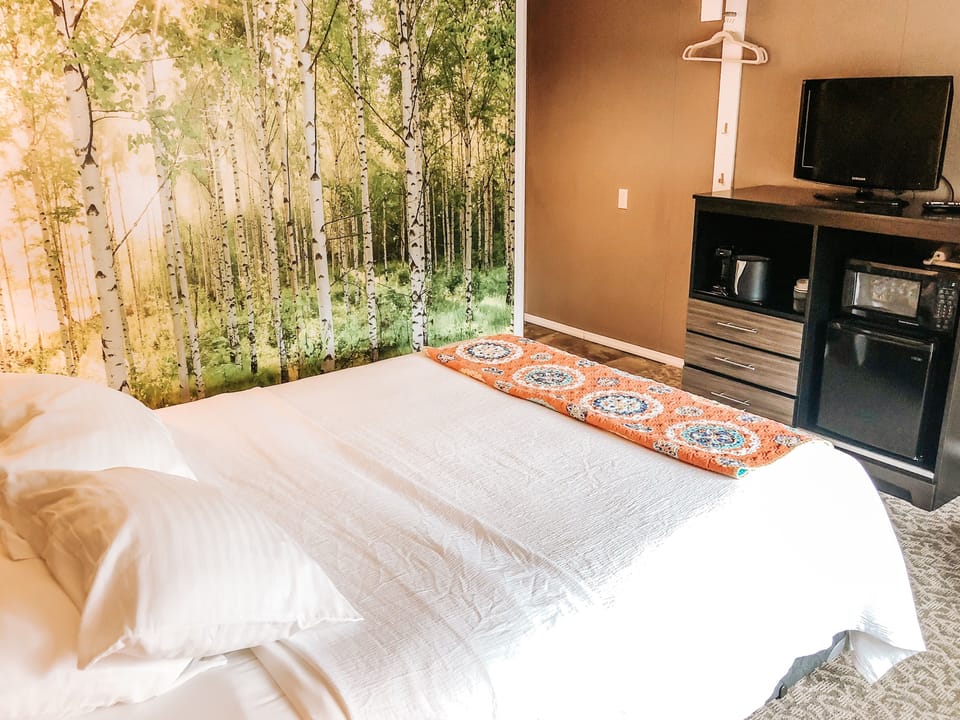 Standard Room, 1 Queen Bed | Premium bedding, desk, iron/ironing board, free cribs/infant beds