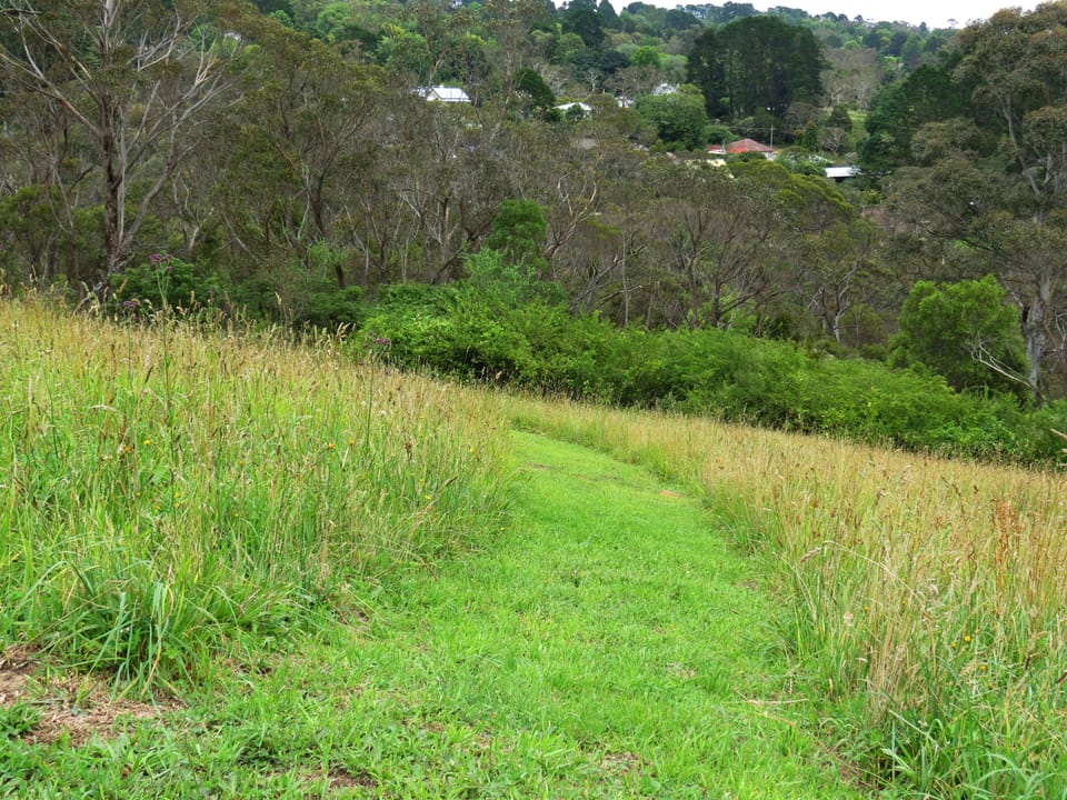 Path leading to the Charles Darwin Walk