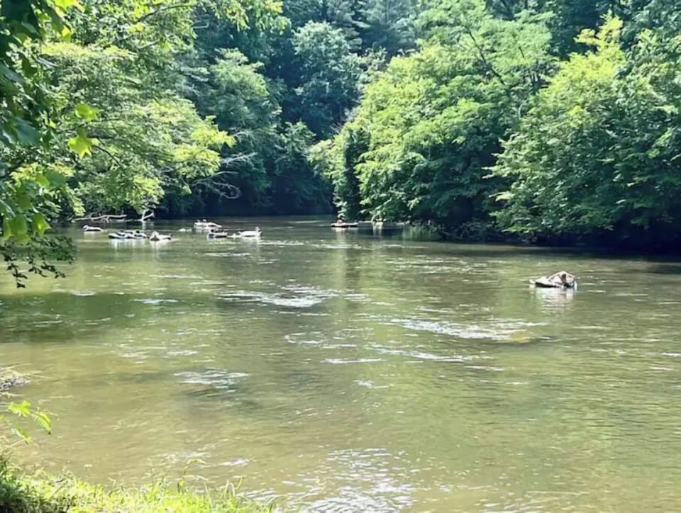 Tube or kayak down the Coosawattee River that runs through the community