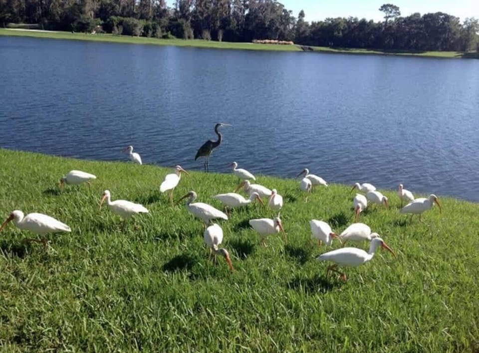 Lake Berkley Dr Bathroom 1.JPG