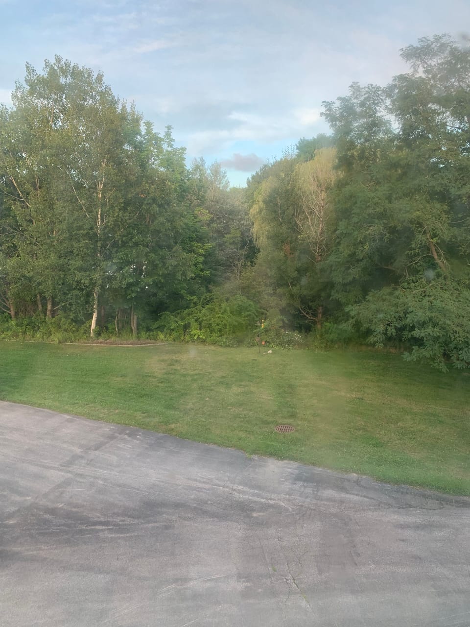View from room