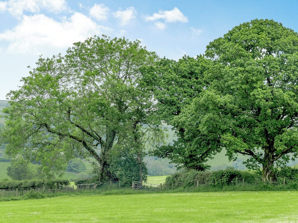 Surrounding area | Llain Farm- Gwennol - Llain Farm, Llanboidy, near Laugharne