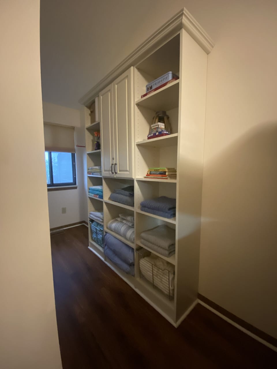 Storage in Second Bedroom 