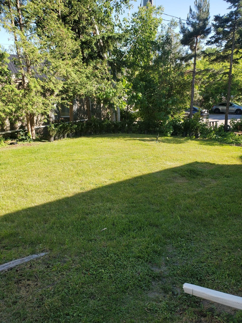 Shared lawn
