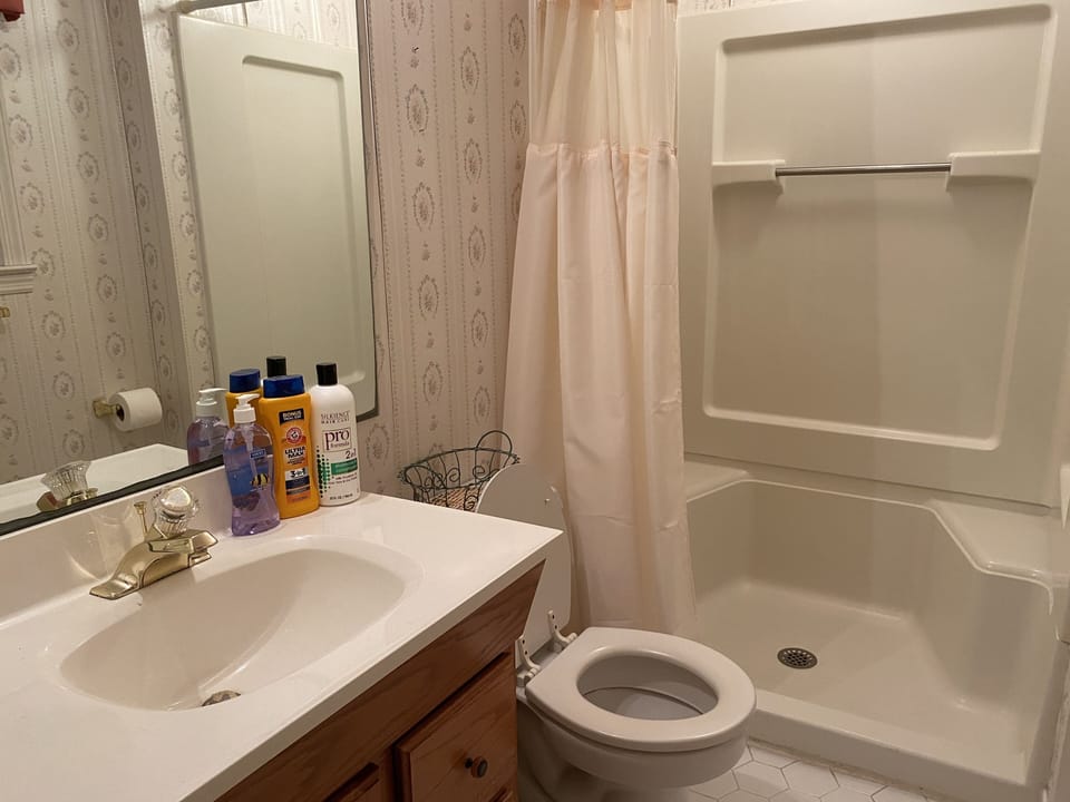 Master bath with stand up shower