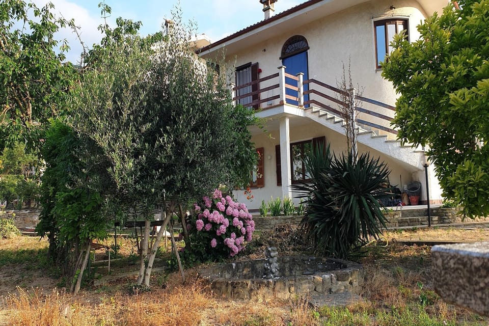 Holiday Home Exterior [summer]