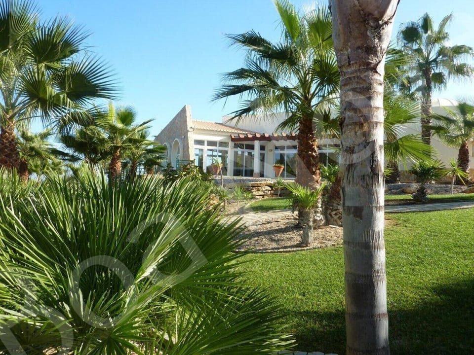 Lush tropical gardens at the Boa Nova resort featuring tall palm trees, manicured lawns, and traditional white Algarve buildings, providing a relaxing holiday setting near Carvoeiro and Ferragudo