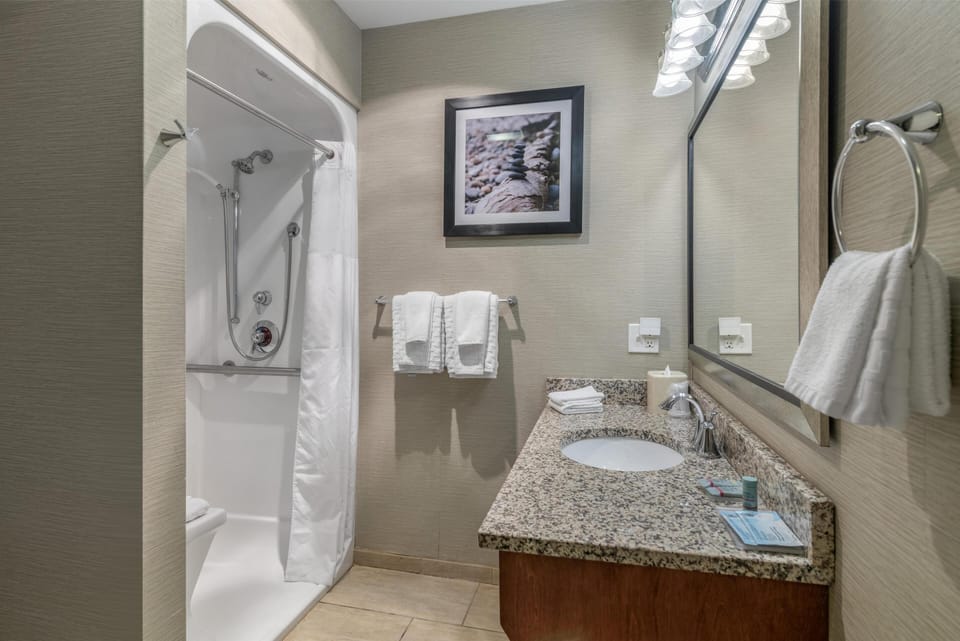 Standard Room, 2 Queen Beds, Accessible, Non Smoking (Walk-in Shower;Pet Friendly) | Bathroom | Separate tub and shower, free toiletries, hair dryer, towels