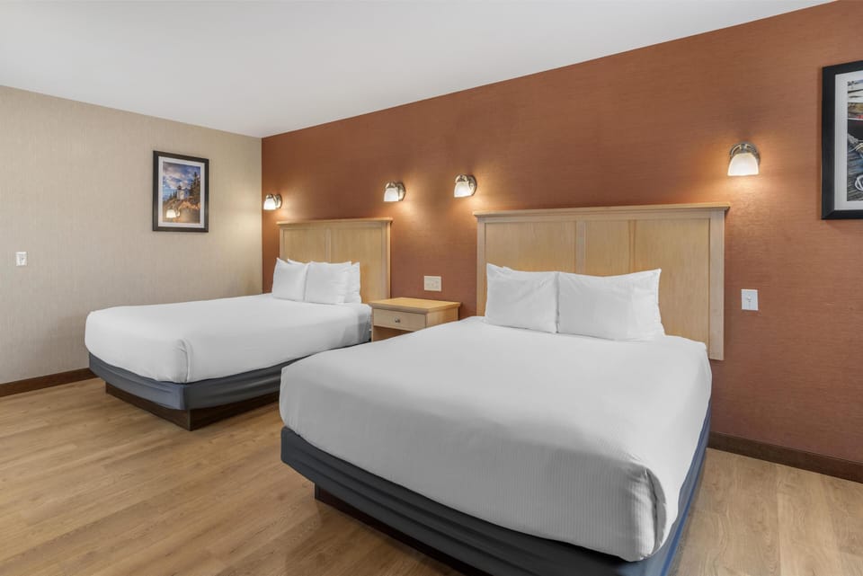 Standard Room, 2 Queen Beds, Accessible, Non Smoking (Walk-in Shower;Pet Friendly) | Premium bedding, pillowtop beds, in-room safe, desk