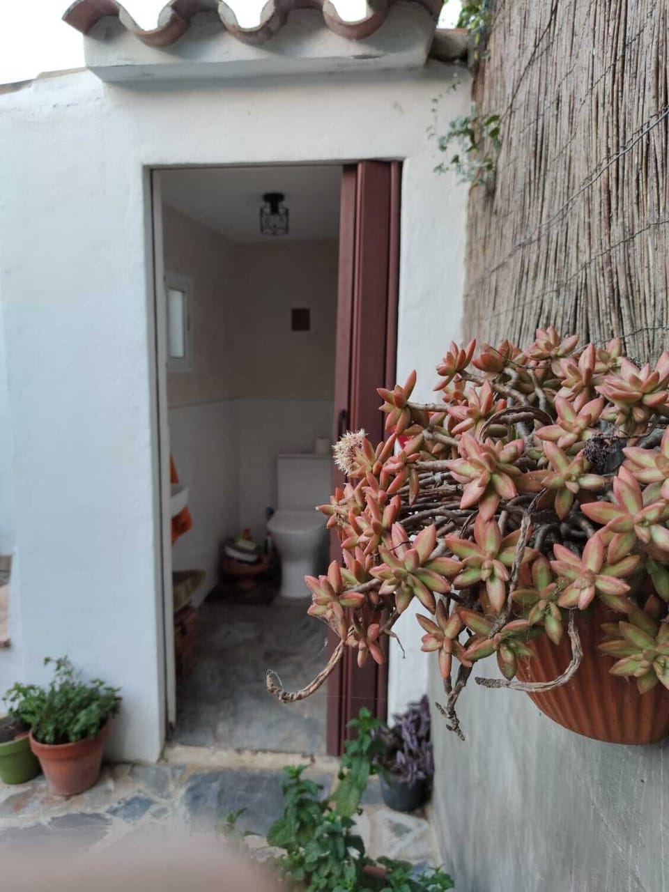Holiday house in the district of La Muela de Vejer- Cádiz House in La Janda