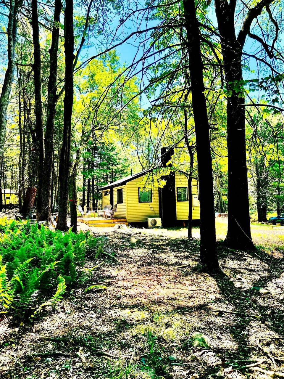 Tucked among the trees, your peaceful private retreat to relax and unwind
