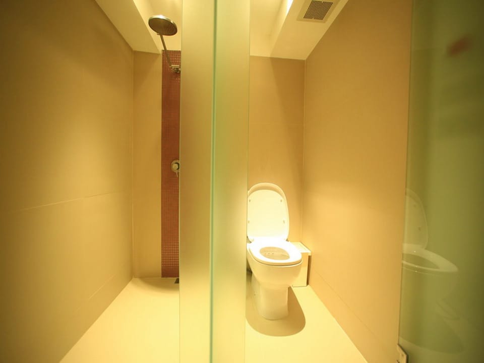 Shower, free toiletries, hair dryer, bathrobes