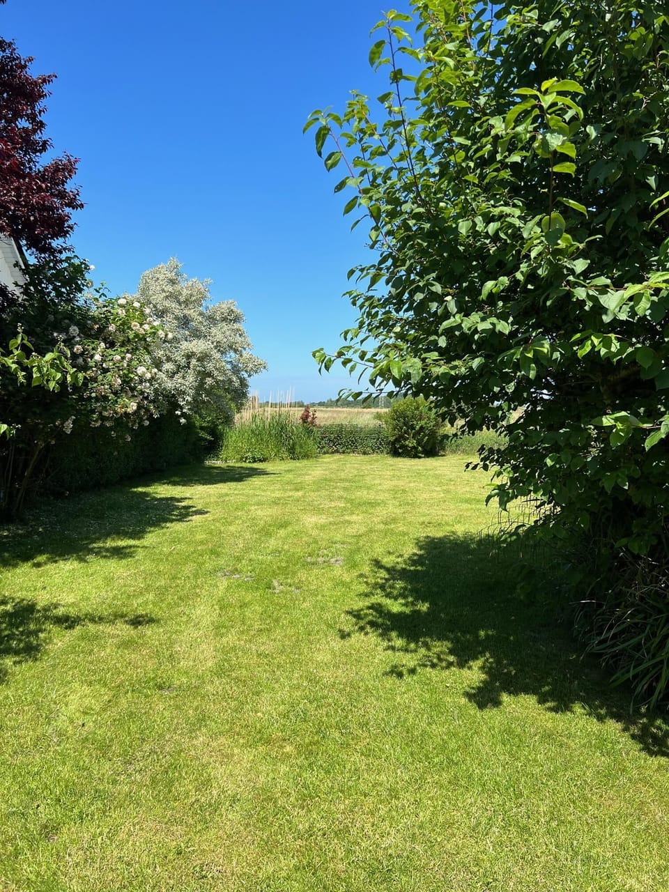 Exclusive House, Private Bathroom | Garden