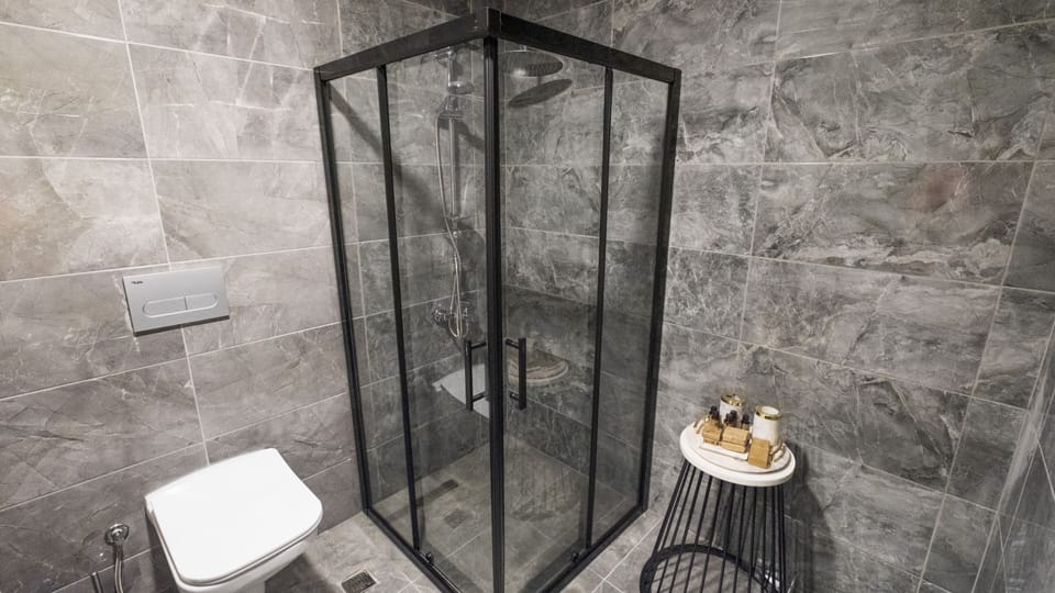 Shower, free toiletries, hair dryer, towels