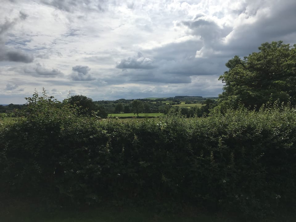 Suite | Garden view
