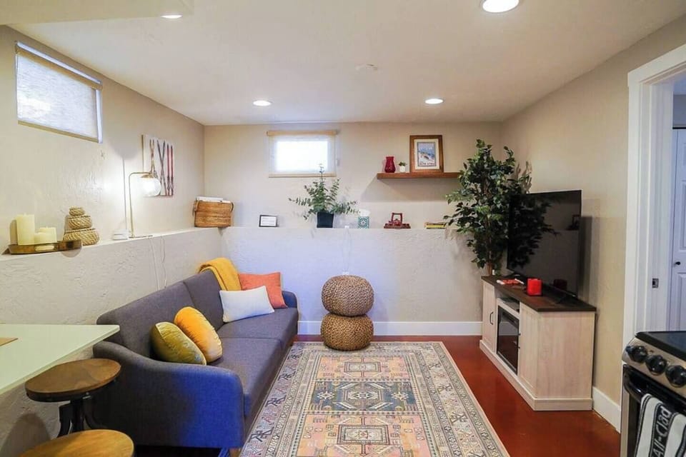 Open living room, kitchen; Sofa folds down to twin bed