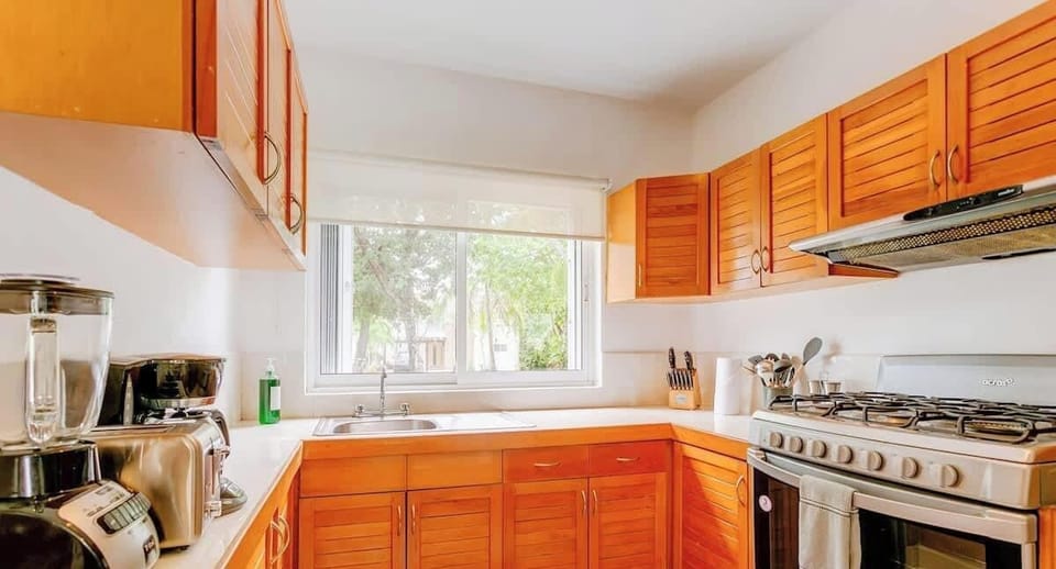 Bright kitchen with wooden cabinets and modern appliances overlooking a garden view.