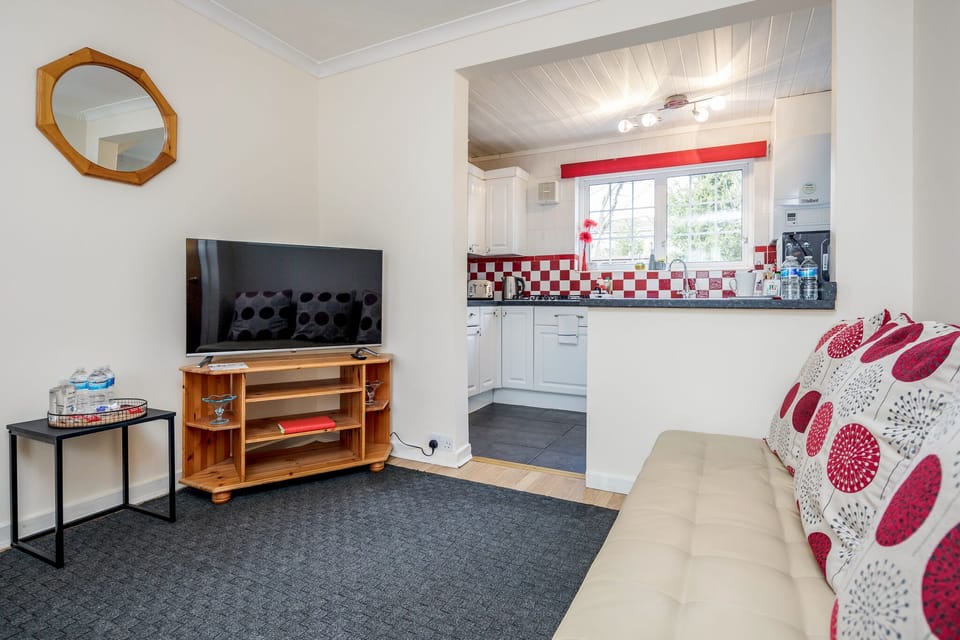 Deluxe Apartment, Private Bathroom (41WS ) | Lounge