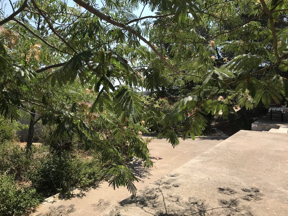Apartment | Property grounds