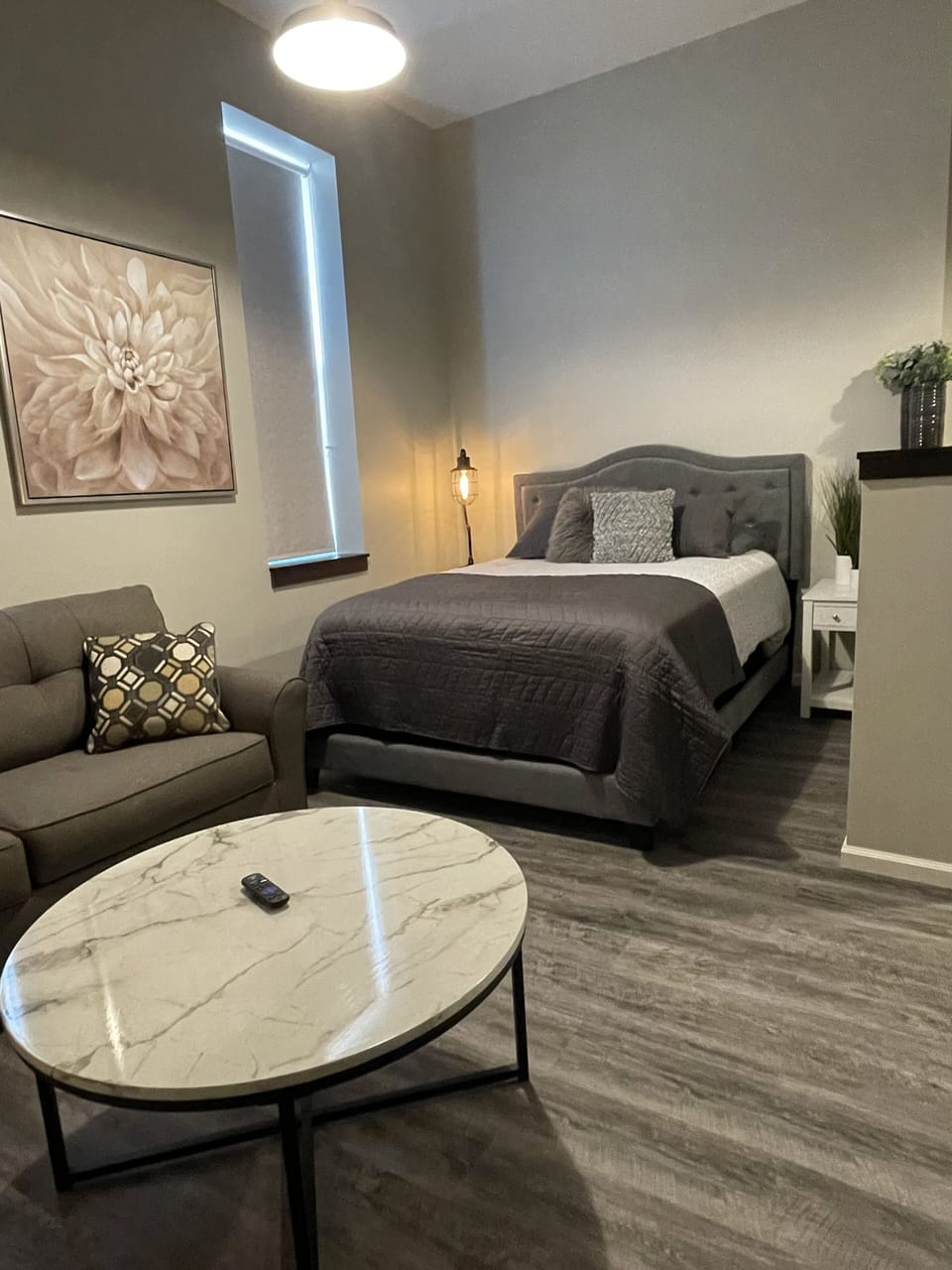 Queen bed & full size pull out couch
