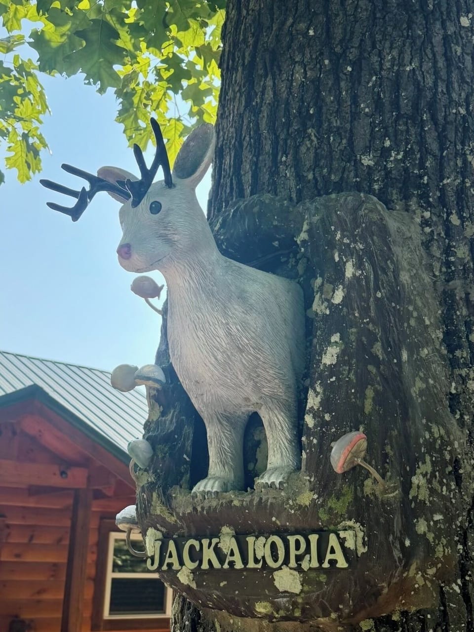 Harriet welcomes you to our folklore inspired cabin, Jackalopia 