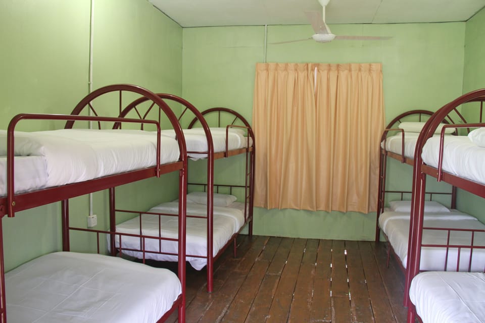 Shared Dormitory, Mixed Dorm | Desk, rollaway beds