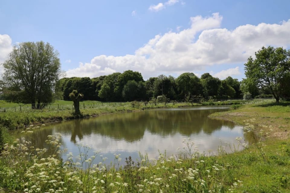 Fishing lake open all year - on the main site 2 minutes from the cottages