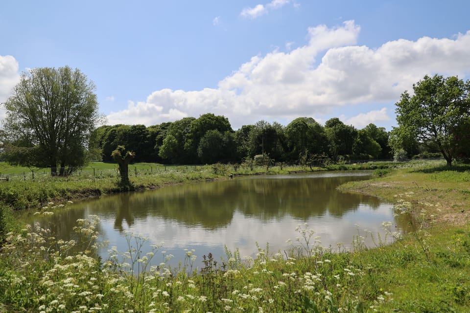 fishing lake open all year, on the main site 2 minutes from the cottages