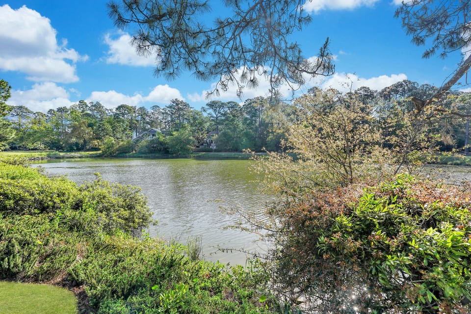 Lagoon views