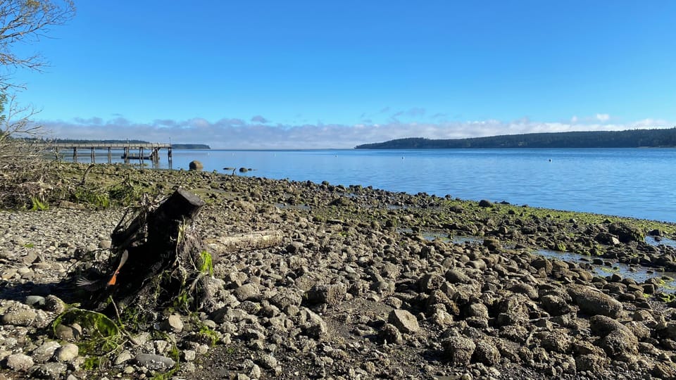 Walking on the tidal zone during low tide is always a fun experience.