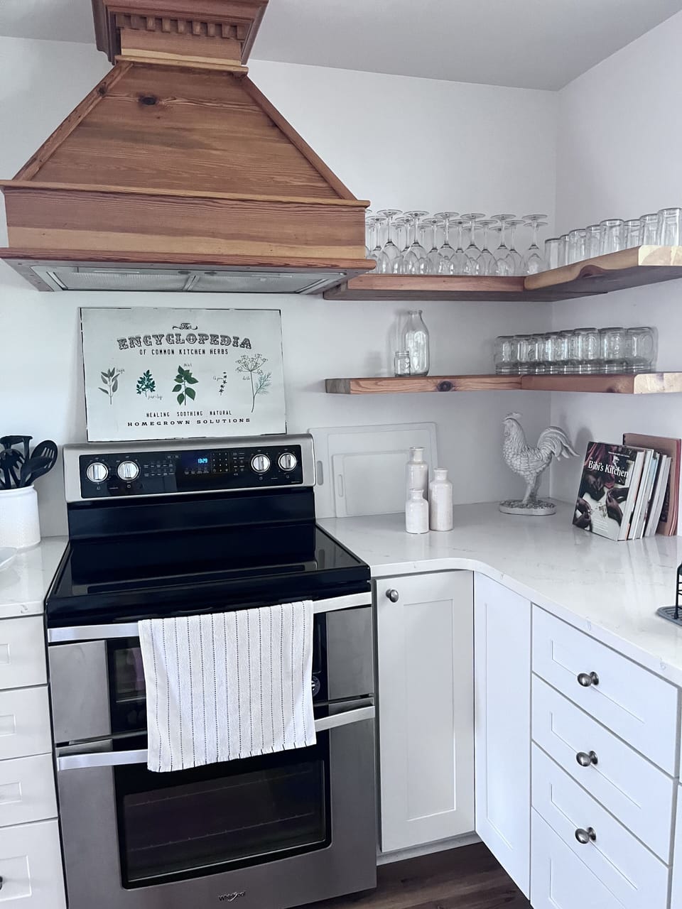 Double oven, cookbooks, lots of storage, popcorn, spices & things…
