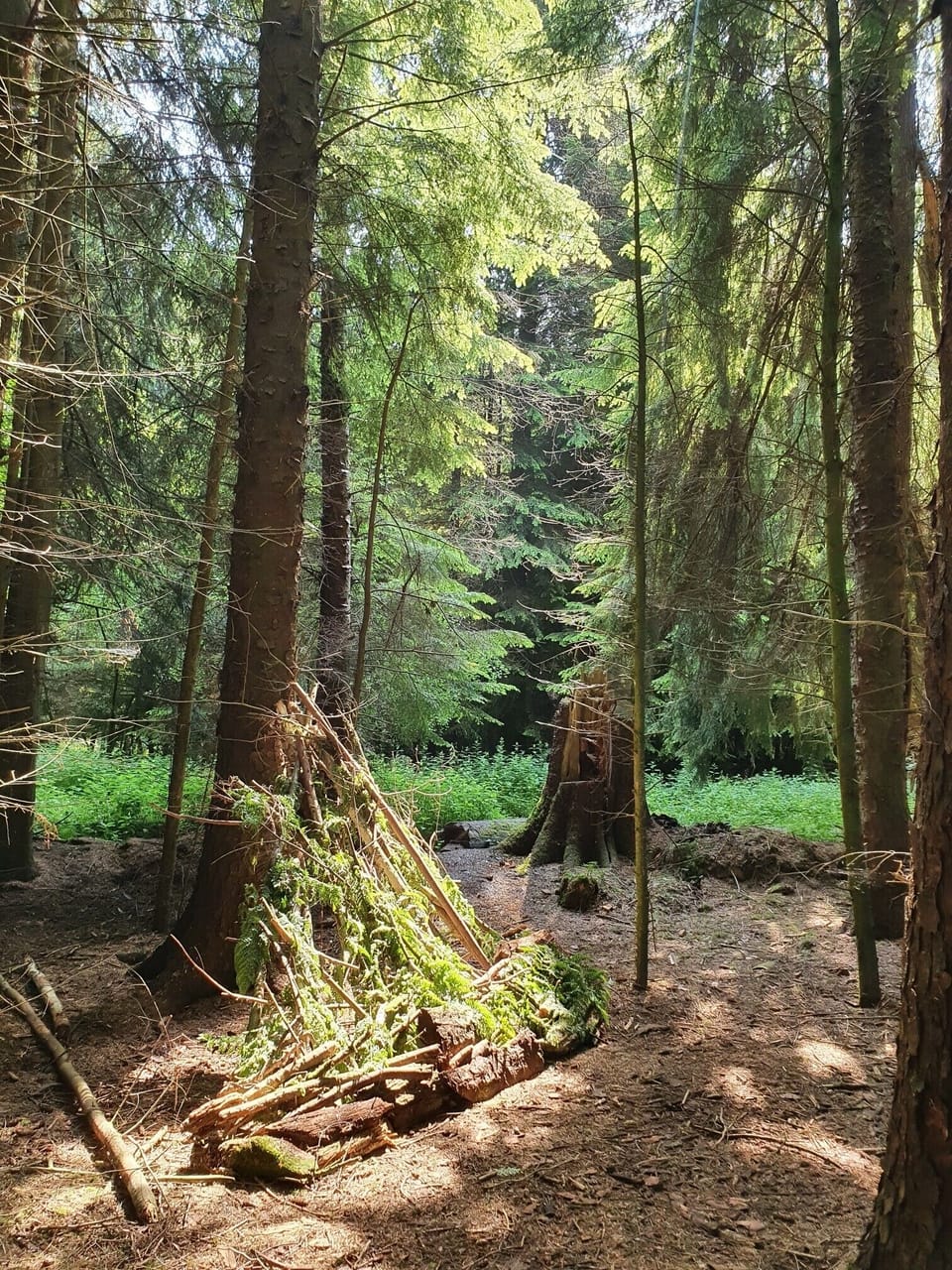 Property grounds