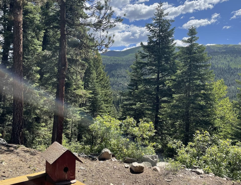 View from property