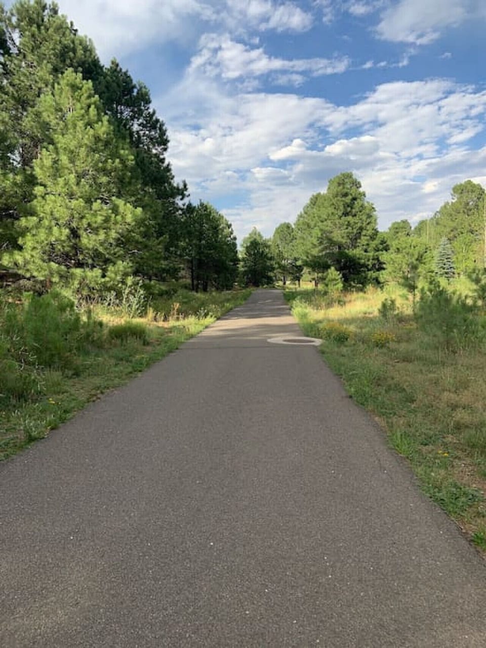 Paved walking trails all throughout neighborhood with nearby park