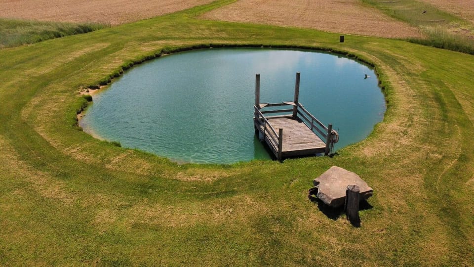 The Pond