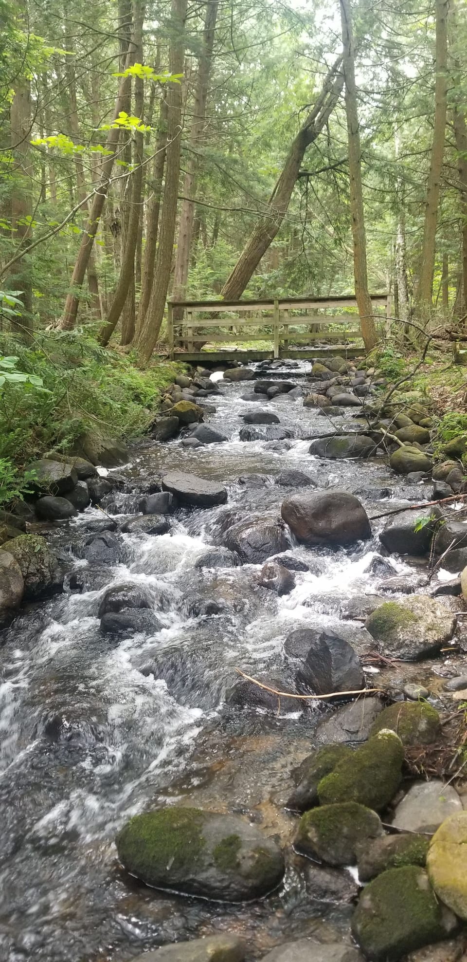 1 hour trail next to cottage, go north east on trail  to get to the river.
