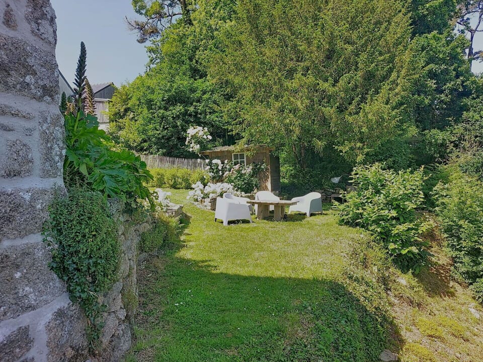 Leaf, Vegetation, Shrub, Garden, Groundcover, Spring, Landscaping, Backyard, Shade