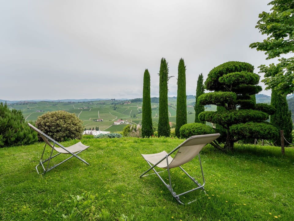 Plant, Plant Community, Furniture, Sky, Cloud, Natural Landscape, Outdoor Furniture, Chair, Land Lot, Shade