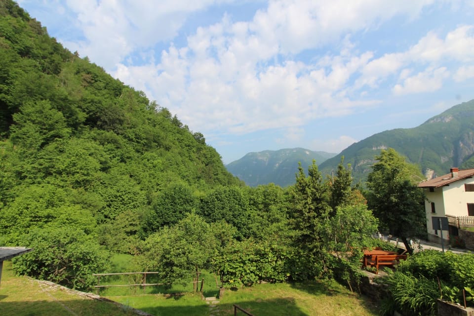 View from Holiday Home [summer]