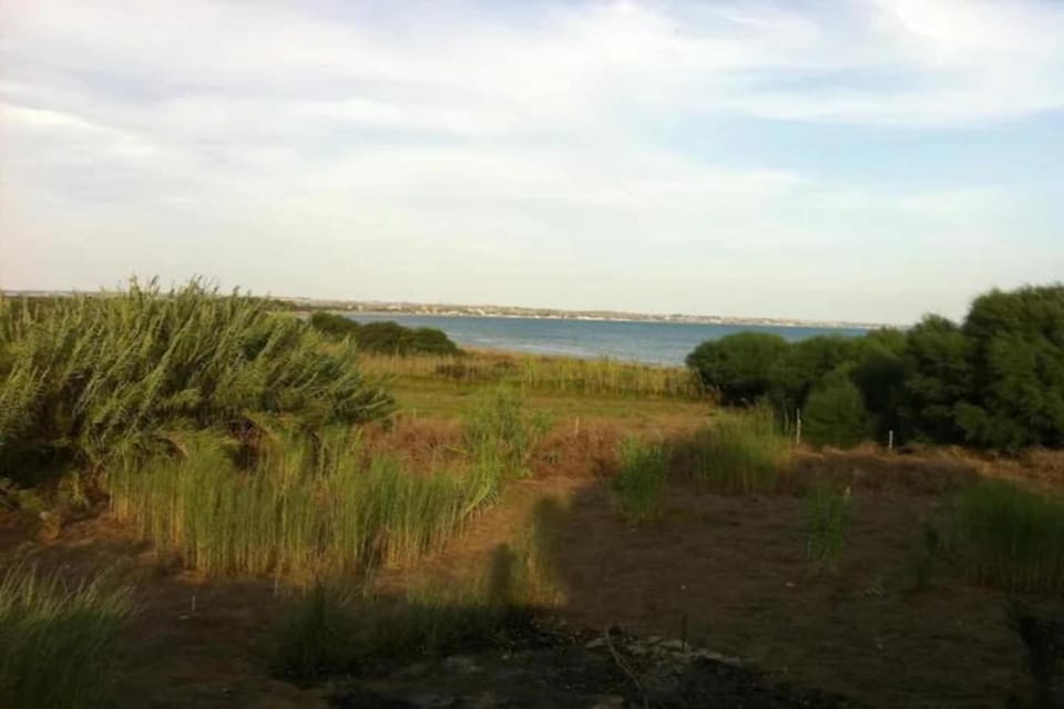 Immediate Surroundings [summer] (<1 km)