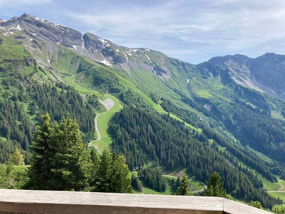 View from property