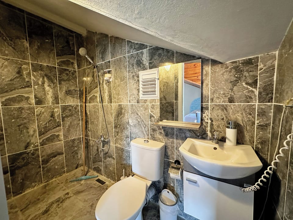 Family Quadruple Room, Private Bathroom | Bathroom | Shower, soap, shampoo, toilet paper