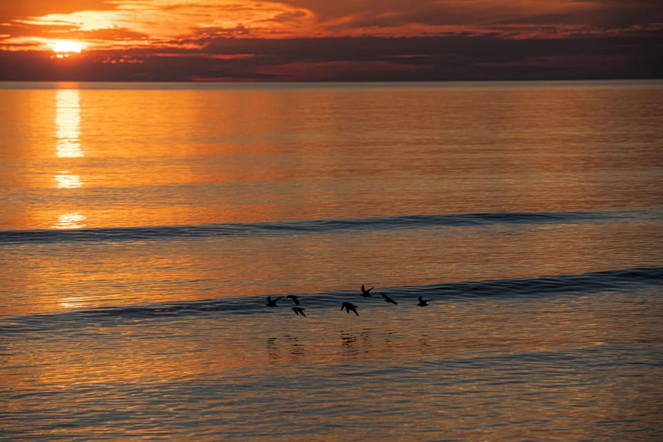 Amazing sunset views never get old.