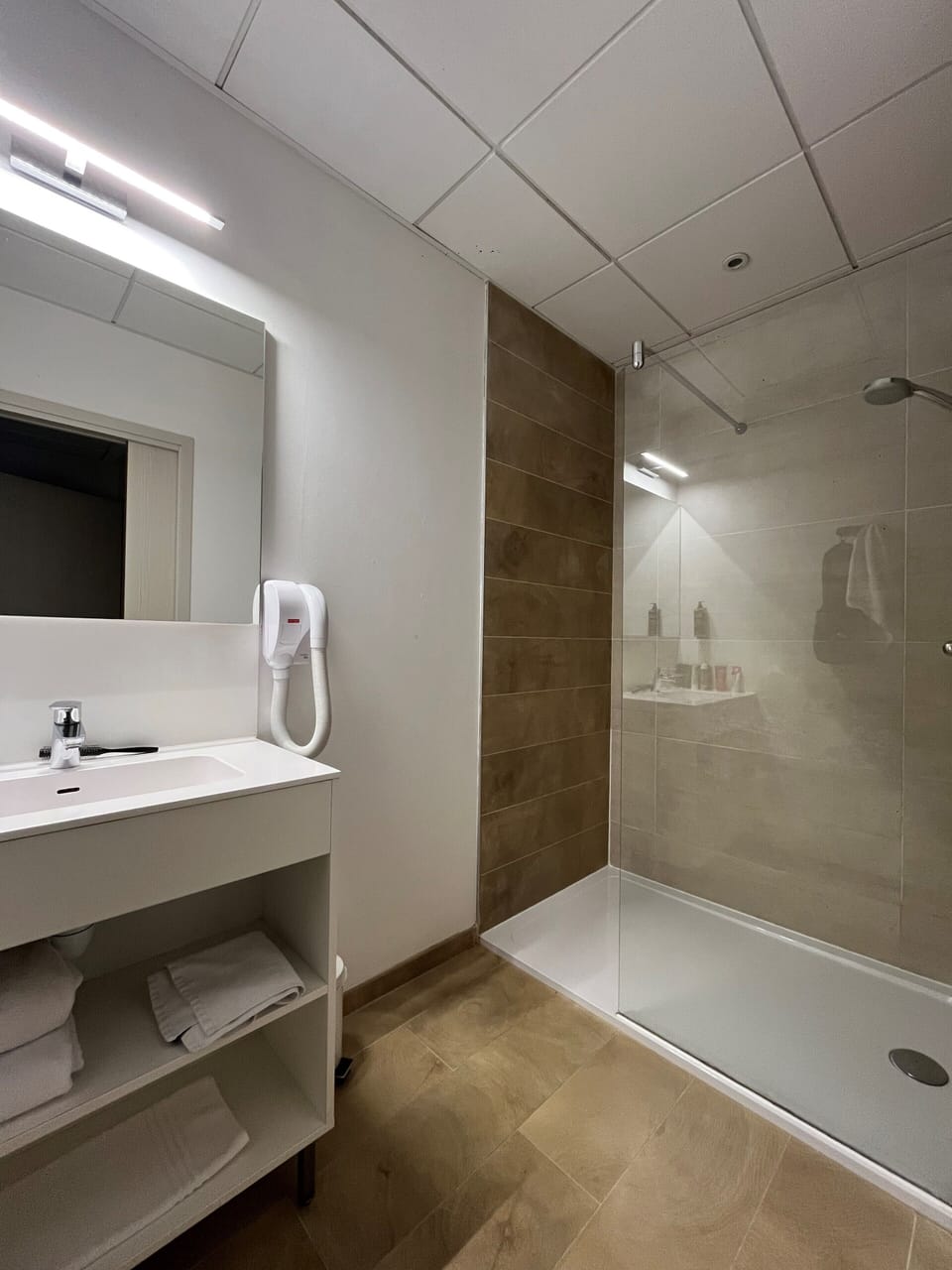 Standard Double Room, Multiple Beds | Bathroom | Eco-friendly toiletries, hair dryer, towels, soap
