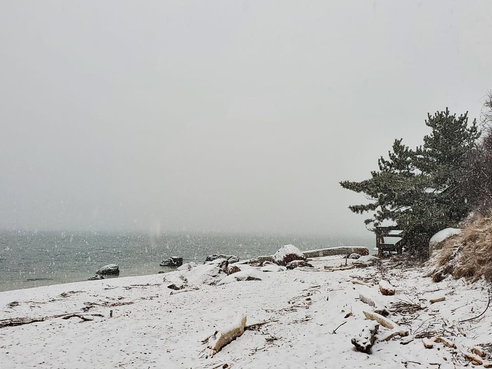 Winters on the beach are magical!