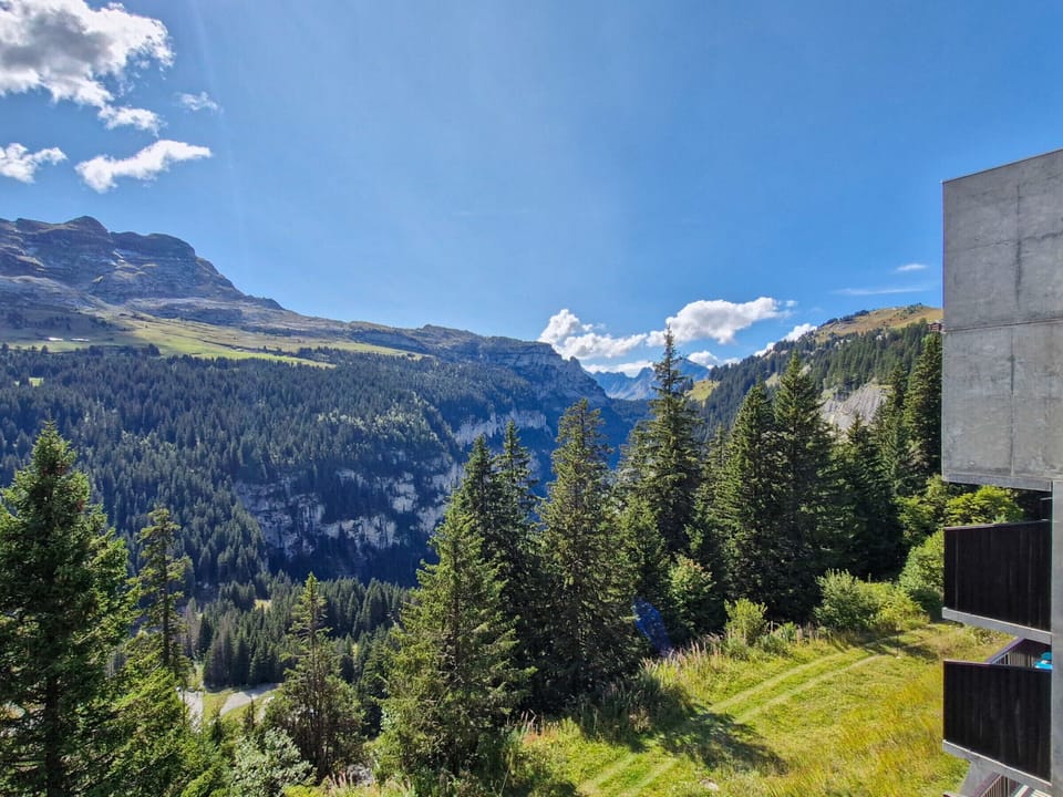 View from property