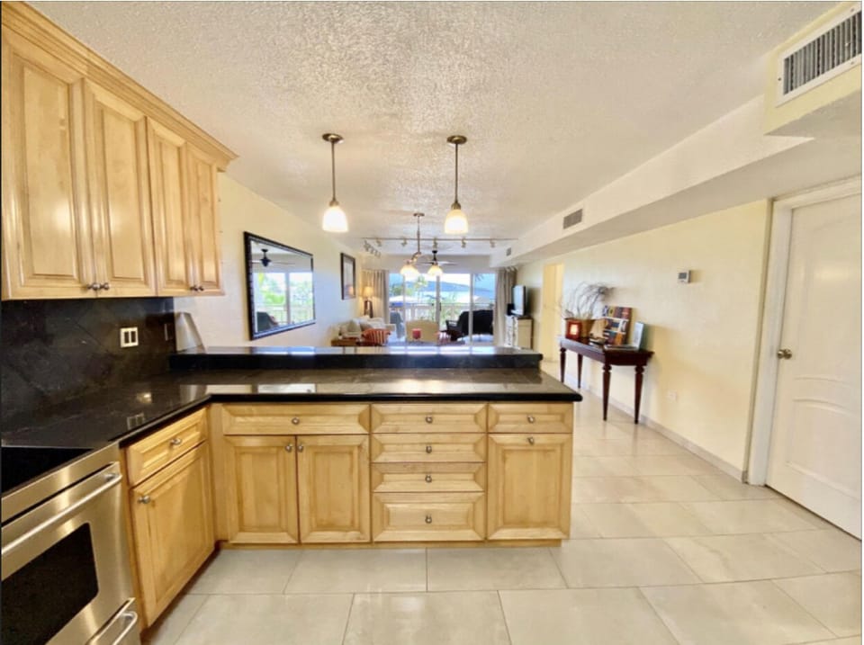 Spacious kitchen and living room 