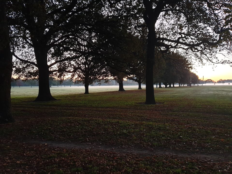 Bishopdale Park
