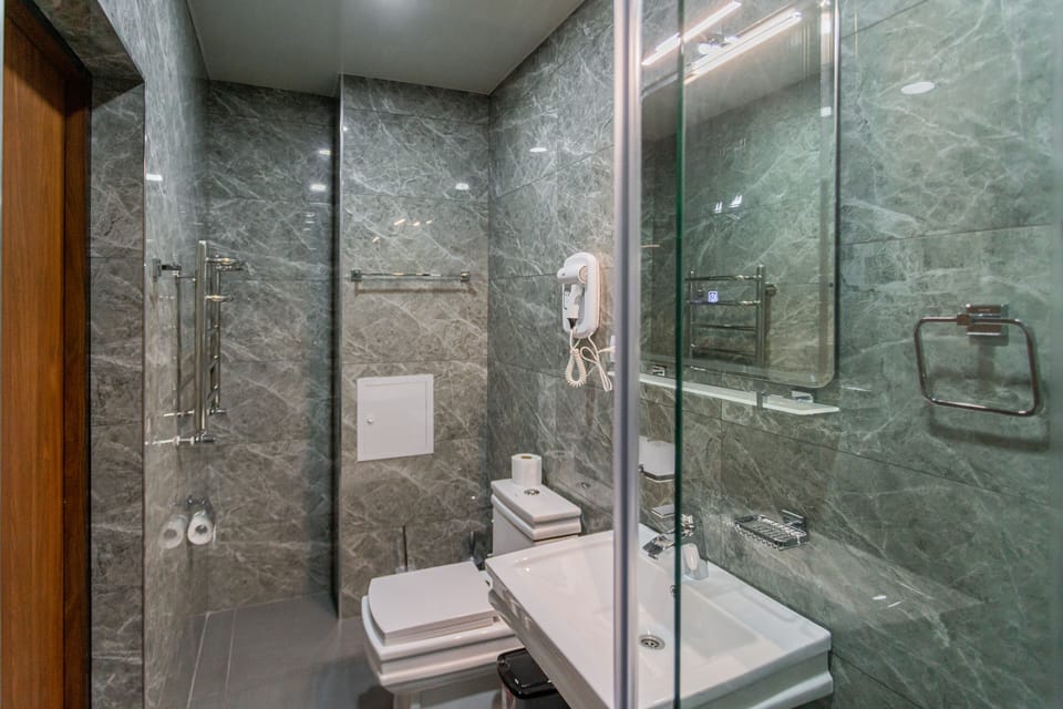 Suite | Bathroom | Shower, rainfall showerhead, free toiletries, hair dryer